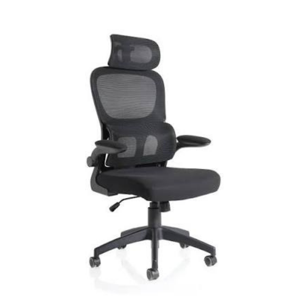 Executive Mesh back chair